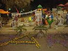 Irak Çiçek Festivali 7