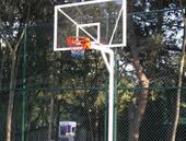 Tek Direkli Basketbol Potası